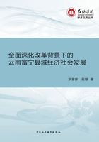 全面深化改革背景下的云南富宁县域经济社会发展