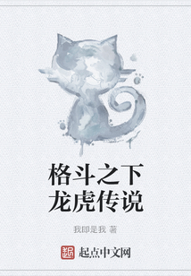 格斗之下龙虎传说