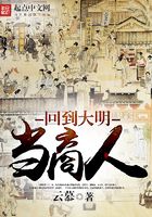 回到大明当商人在线阅读