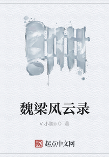 魏梁風(fēng)云錄
