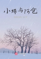 小蝶与阿仓在线阅读