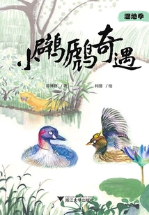 疯狂博物馆:小奇遇