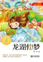龙湖仙梦(大白鲸原创幻想儿童文学优秀作品)在线阅读