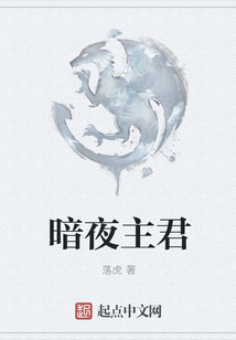 暗夜主君