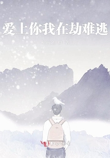 爱上你我在劫难逃