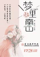 梦里南山在线阅读