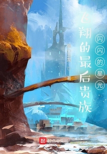 飛翔的最后貴族：閃閃的星光