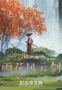 雨花風云劍