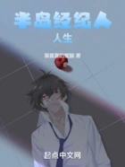 半岛经纪人人生在线阅读