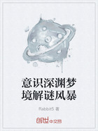 意識深淵夢境解謎風暴在線閱讀