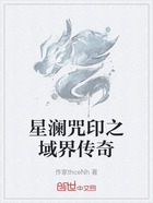 星澜咒印之域界传奇在线阅读