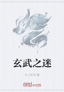 玄武之迷
