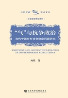 “气”与抗争政治：当代中国乡村社会稳定问题研究在线阅读