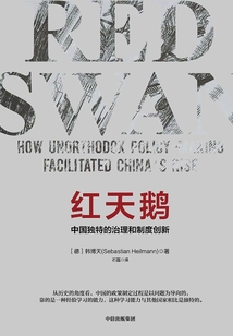 红天鹅：中国独特的治理和制度创新