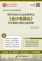 深圳市会计从业资格考试《会计电算化》历年真题与模拟试题详解在线阅读