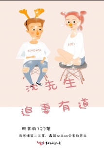 沈先生追妻有道