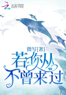 若你從不曾來過