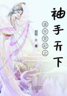 盛世宠妃之袖手天下