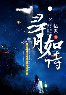 寻月如诗