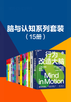脑与认知系列套装（15册）在线阅读