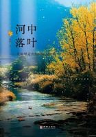 河中落葉：從村里走出的國際大律師在線閱讀