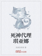 死神代理琪亚娜在线阅读
