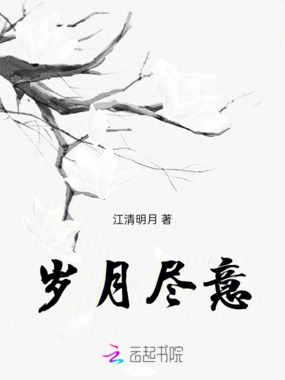 岁月尽意在线阅读