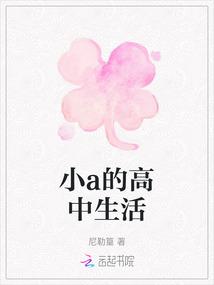 小a的高中生活