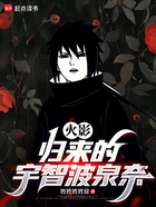 火影,归来的宇智波泉奈在线阅读