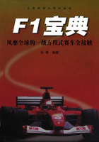 F1宝典：风靡全球的一级方程式赛车全接触