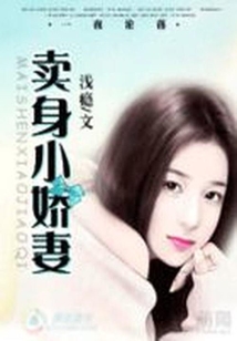 契約小嬌妻