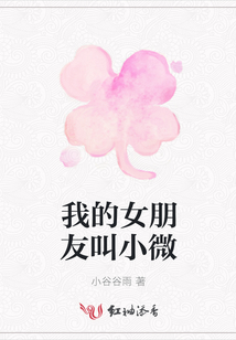 我的女朋友叫小微