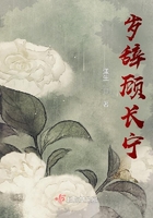 歲辭顧長寧在線閱讀