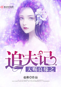 天赐良缘之追夫记
