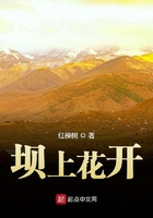 坝上花开
