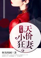 猎宠:天价小狂妻