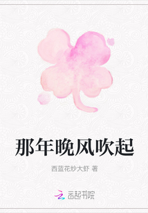 那年晚風吹起
