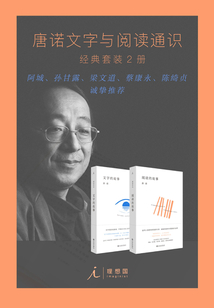 唐诺文字与阅读通识（经典套装2册）