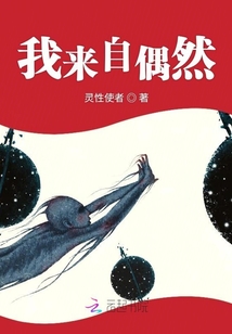 我來自偶然