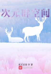 次元群空間