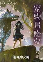 宠物冒险家