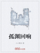 孤渊回响在线阅读