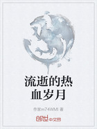 流逝的热血岁月在线阅读