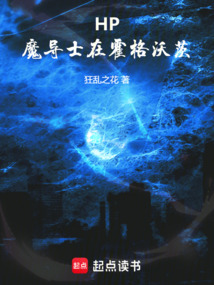 HP：魔导士在霍格沃茨 封面