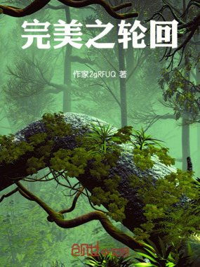 完美之轮回在线阅读