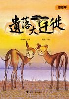 疯狂博物馆：遗落大迁徙