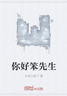 你好笨先生