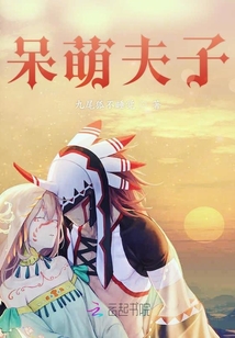 呆萌夫子