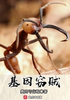 基因窃贼在线阅读