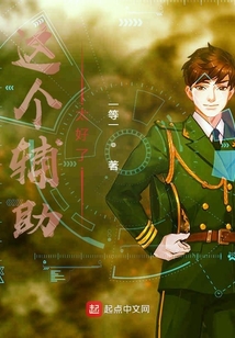 这个辅助太好了在线阅读